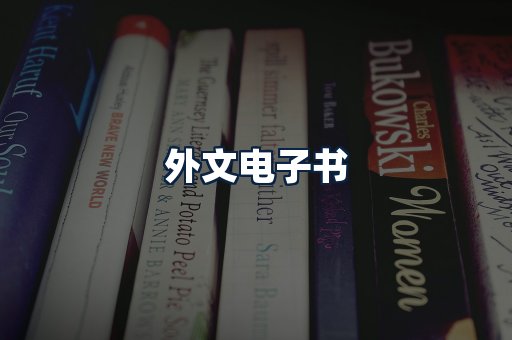 外文电子书